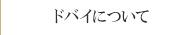 ドバイについて