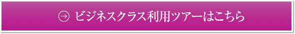 ビジネスクラス利用ツアーはこちら