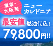 楽園ニューカレドニアが6月限定特価！