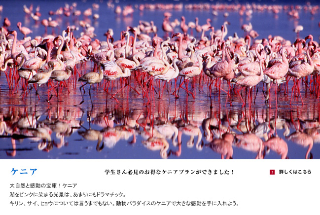アフリカ　ケニア旅行　ナクル湖