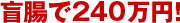 盲腸で240万円！