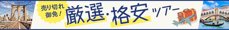 売り切れ御免 厳選 格安ツアー
