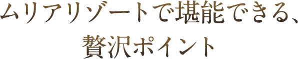 ムリアリゾートで堪能できる、贅沢ポイント