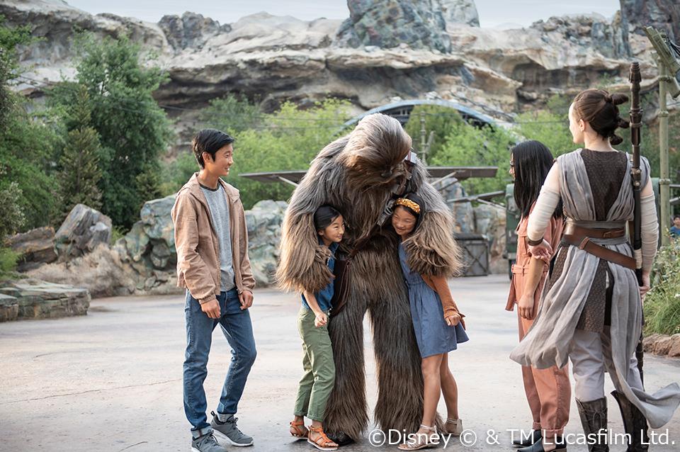 ディズニーランド・パークの写真