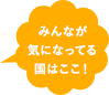 みんなが気になってる国はここ!