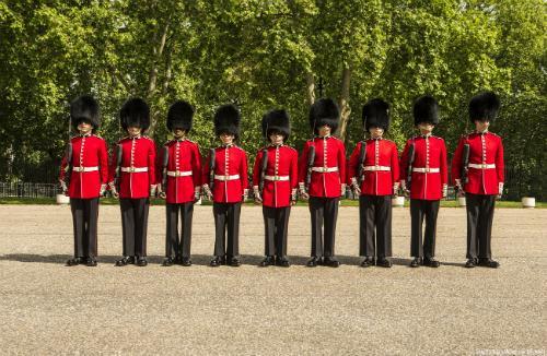 【ロンドン】バッキンガム宮殿の衛兵(C)VisitBritain/Andrew Pickett