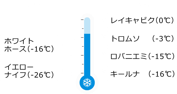 1月の気温の図