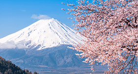 日本国内線航空券