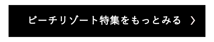 ビーチリゾート特集をもっとみる