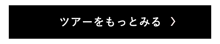 ツアーをもっとみる