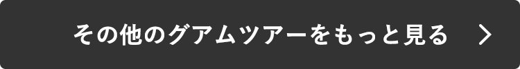 その他のグアムツアーをもっと見る