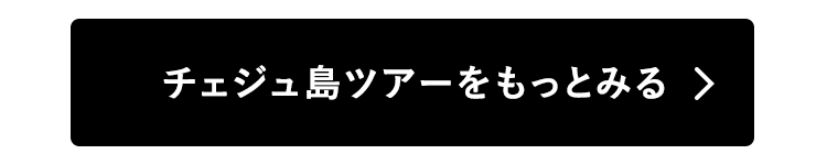 チェジュ島ツアーをもっとみる