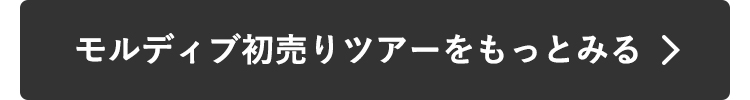 モルディブ初売りツアーをもっとみる
