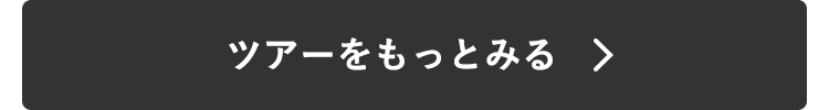 ツアーをもっとみる