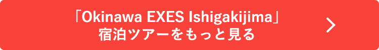 「Okinawa EXES Ishigakijima」宿泊ツアーをもっと見る