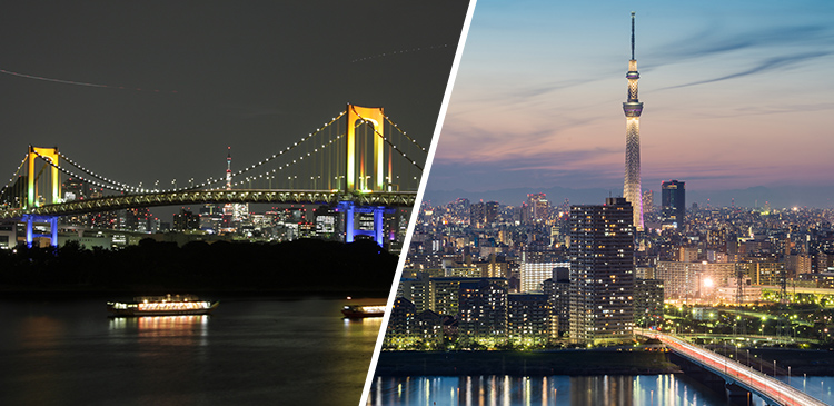 屋形船ディナー＋都内ホテル1泊 ツアー写真