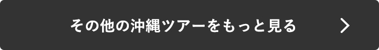 その他の沖縄ツアーをもっと見る
