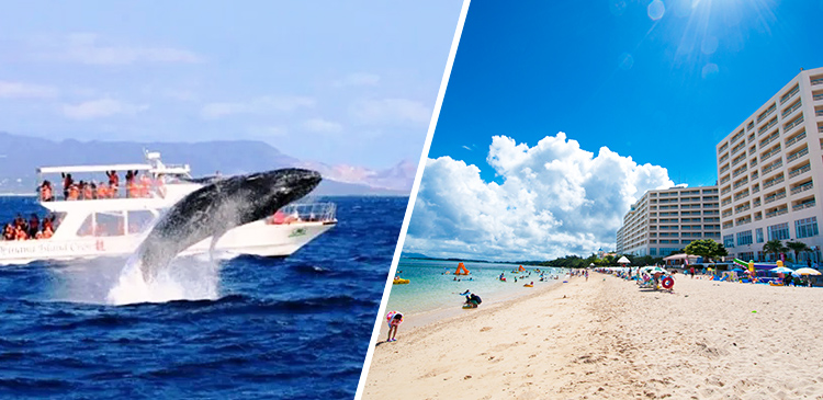 沖縄本島│リザンシーパークホテル谷茶ベイ ツアー写真