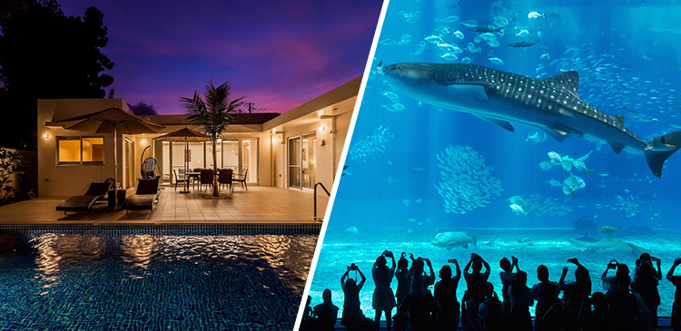 沖縄本島│コルディオ プール&ヴィラズ済井出 ツアー写真