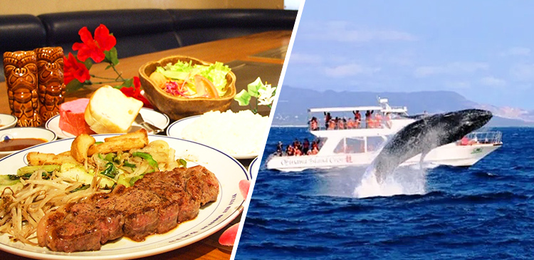 ホエールウォッチング＋夕食プラン（沖縄）ツアー写真
