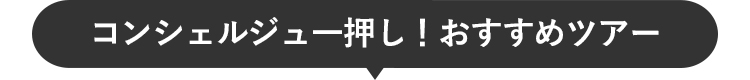 コンシェルジュ一押し！おすすめツアー