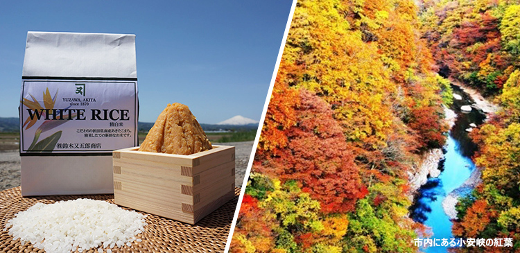 湯沢の秋の味覚本格セット 写真