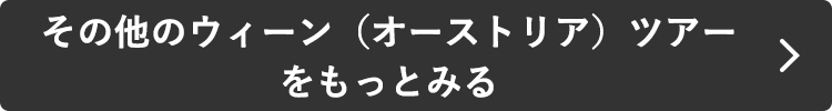 その他のウィーン（オーストリア）ツアーをもっとみる