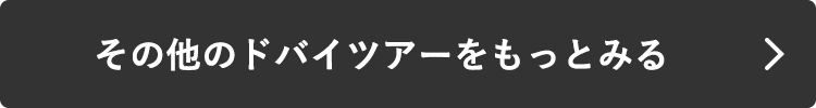 その他のドバイツアーをもっとみる