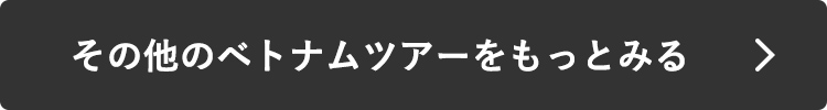 その他のベトナムツアーをもっとみる