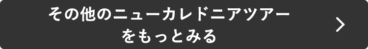 その他のニューカレドニアツアーをもっとみる