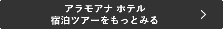 アラモアナ ホテル宿泊ツアーをもっとみる