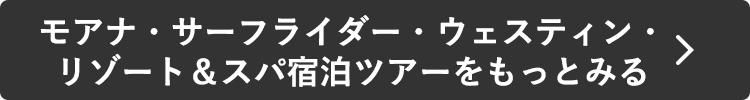 モアナ・サーフライダー・ウェスティン・リゾート＆スパ宿泊ツアーをもっとみる
