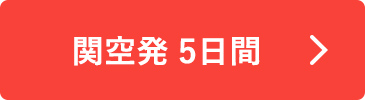 関空発 5日間