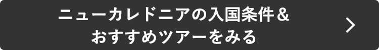 ニューカレドニアの入国条件＆おすすめツアーをみる