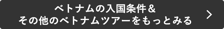 ベトナムの入国条件＆その他のベトナムツアーをもっとみる