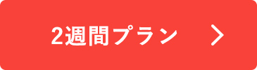 2週間プラン