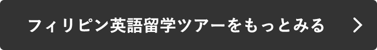 フィリピン英語留学ツアーをもっとみる