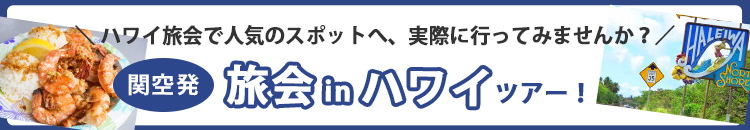 関空発 旅会inハワイツアー