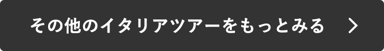 その他のイタリアツアーをもっとみる