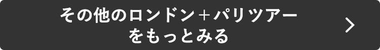 その他のロンドン＋パリツアーをもっとみる