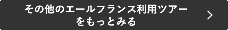 その他のエールフランス利用ツアーをもっとみる