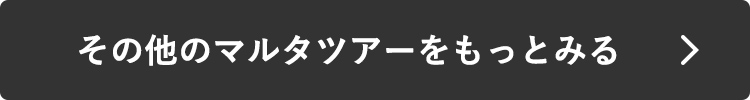 その他のマルタツアーをもっとみる