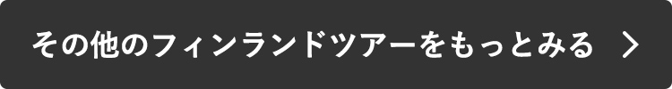 その他のフィンランドツアーをもっとみる