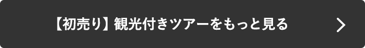 【初売り】観光付きツアーをもっと見る