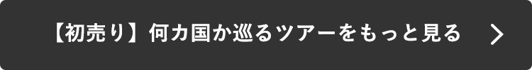 【初売り】何カ国か巡るツアーをもっと見る