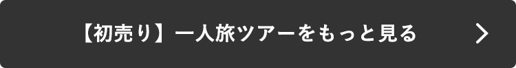 【初売り】一人旅ツアーをもっと見る