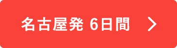 名古屋発 6日間