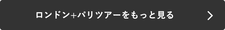 ロンドン+パリツアーをもっと見る