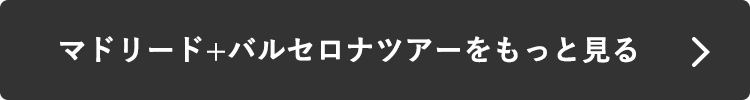 マドリード+バルセロナツアーをもっと見る