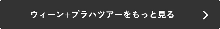 ウィーン+プラハツアーをもっと見る